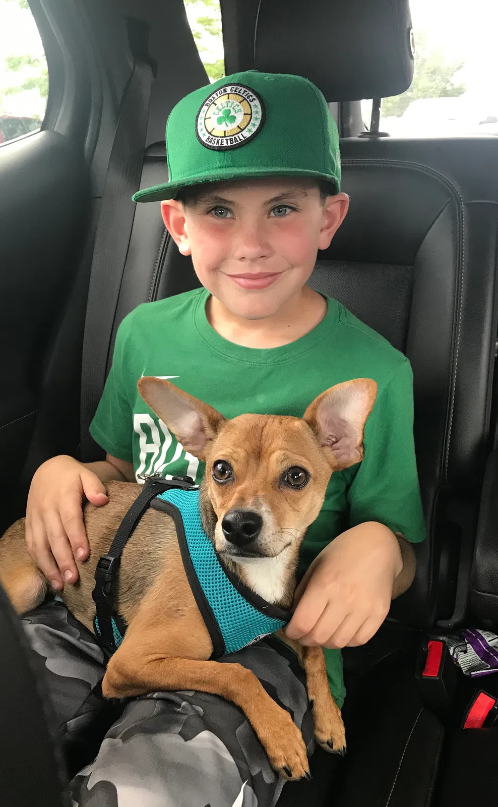 Lost dog in Blairsden-Graeagle, CA, 96103