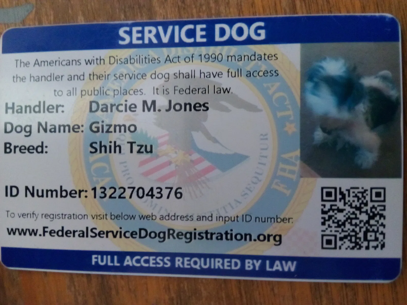 Lost dog in Tucson, AZ, 85705