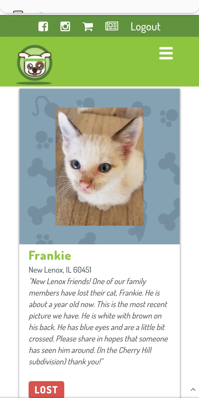 Lost cat in New Lenox, IL, 60451
