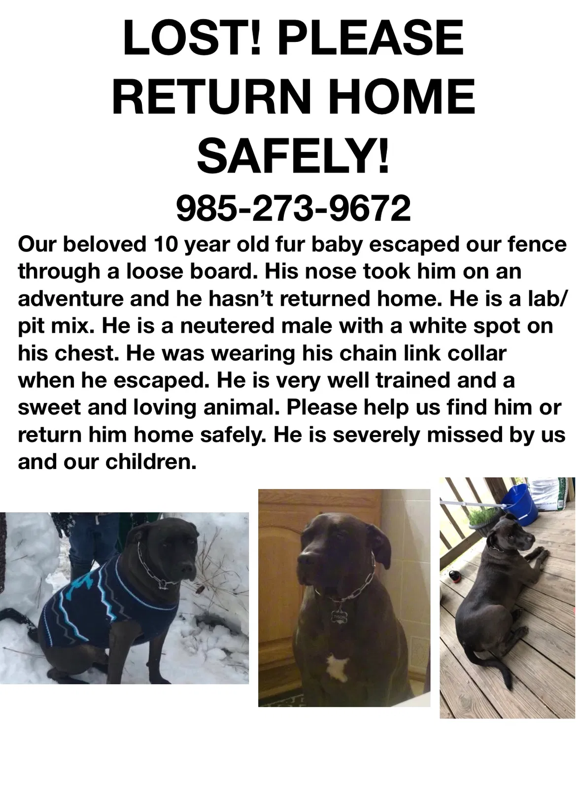 Lost dog in Gonzales, LA, 70737