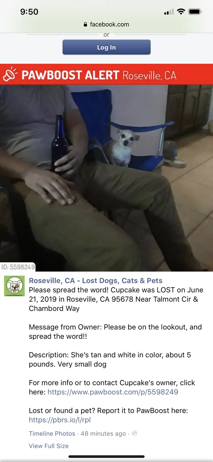 Lost dog in Roseville, CA, 95678