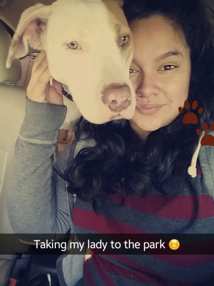 Lost dog in Fresno, CA, 93725