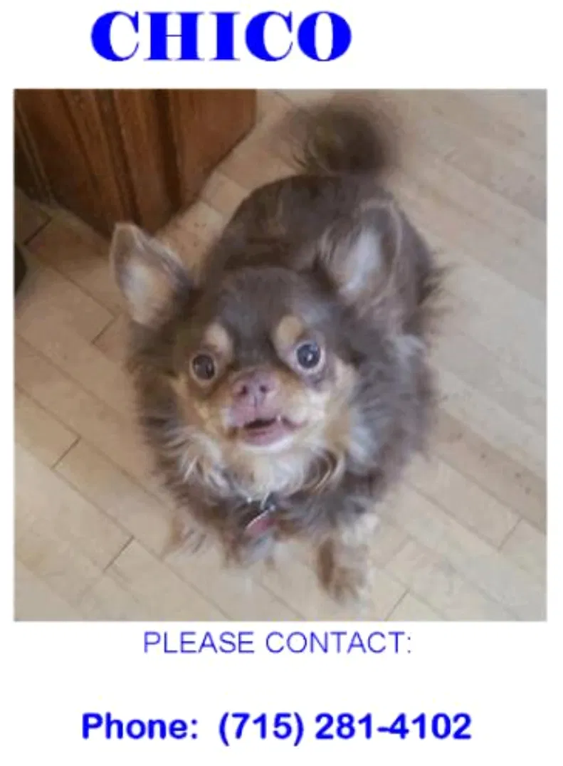 Lost dog in Waupaca, WI, 54981