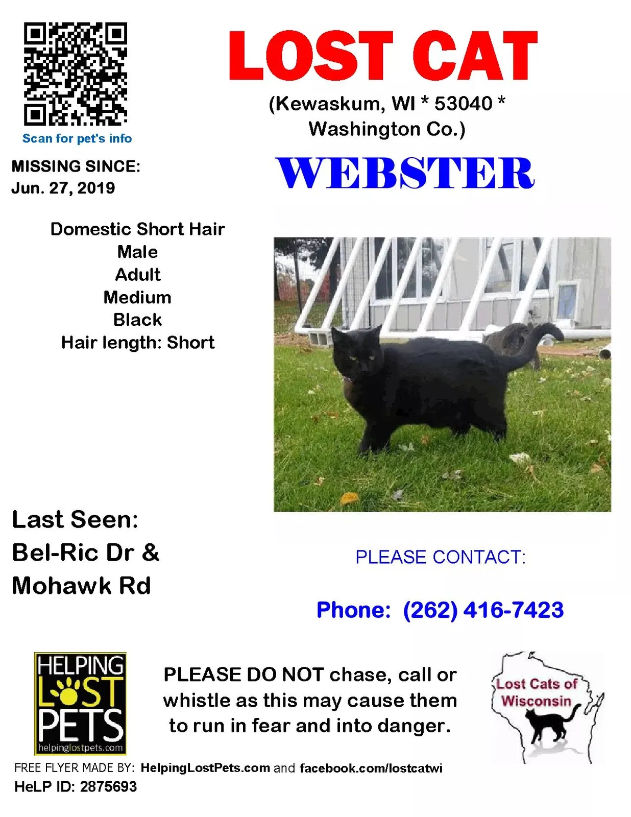 Lost cat in Kewaskum, WI, 53040