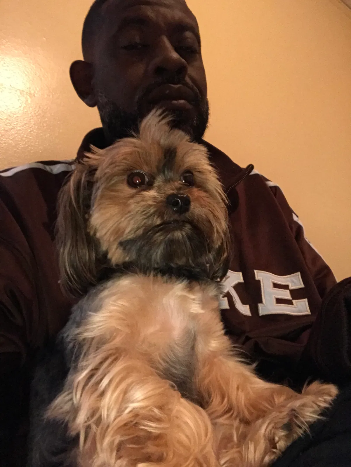 Lost dog in Detroit, MI, 48235