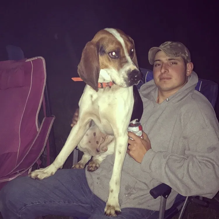 Lost dog in Corning, NY, 14830
