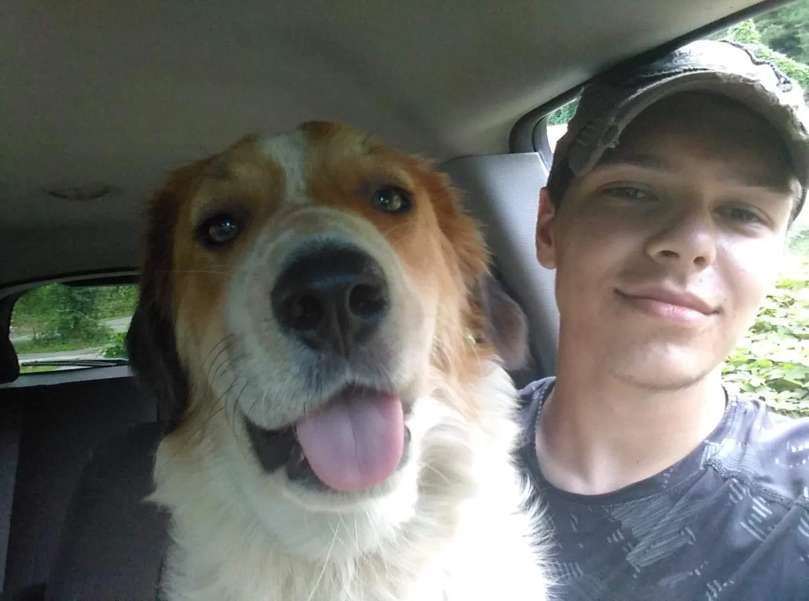 Lost dog in Caryville, TN, 37714