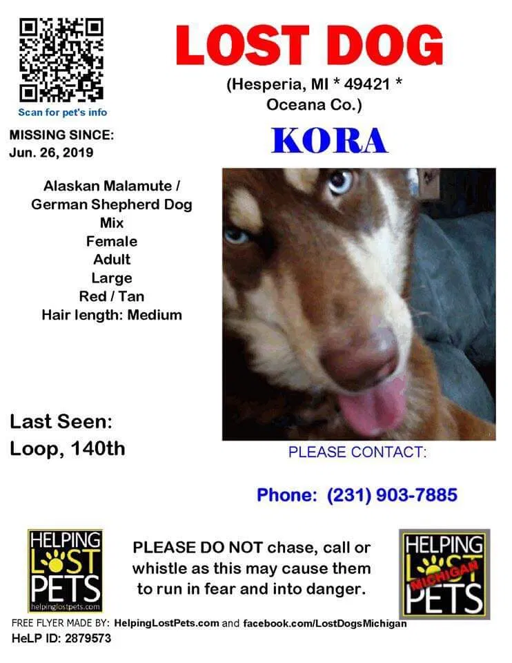 Lost dog in Hesperia, MI, 49421