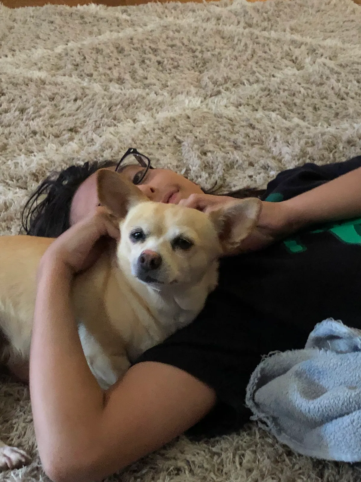 Lost dog in El Paso, TX, 79907