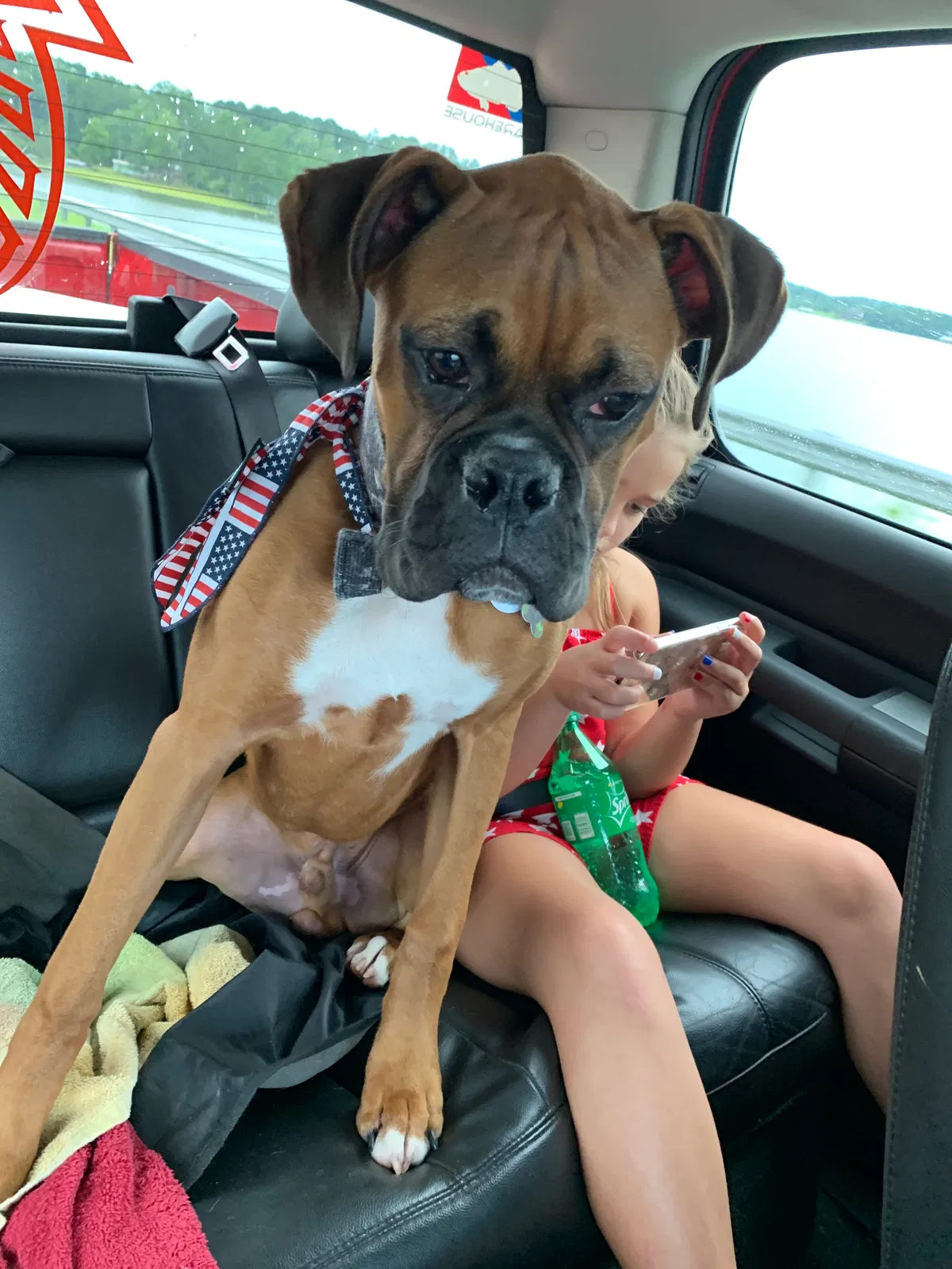 Lost dog in Centre, AL, 35960