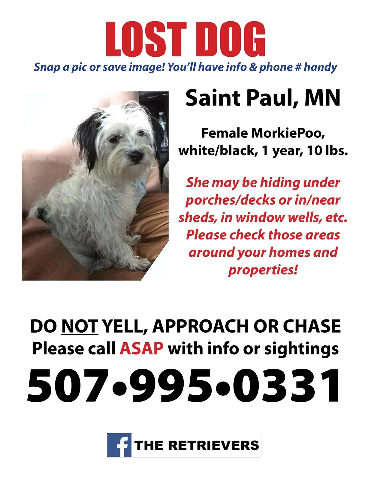 Lost dog in Saint Paul, MN, 55130