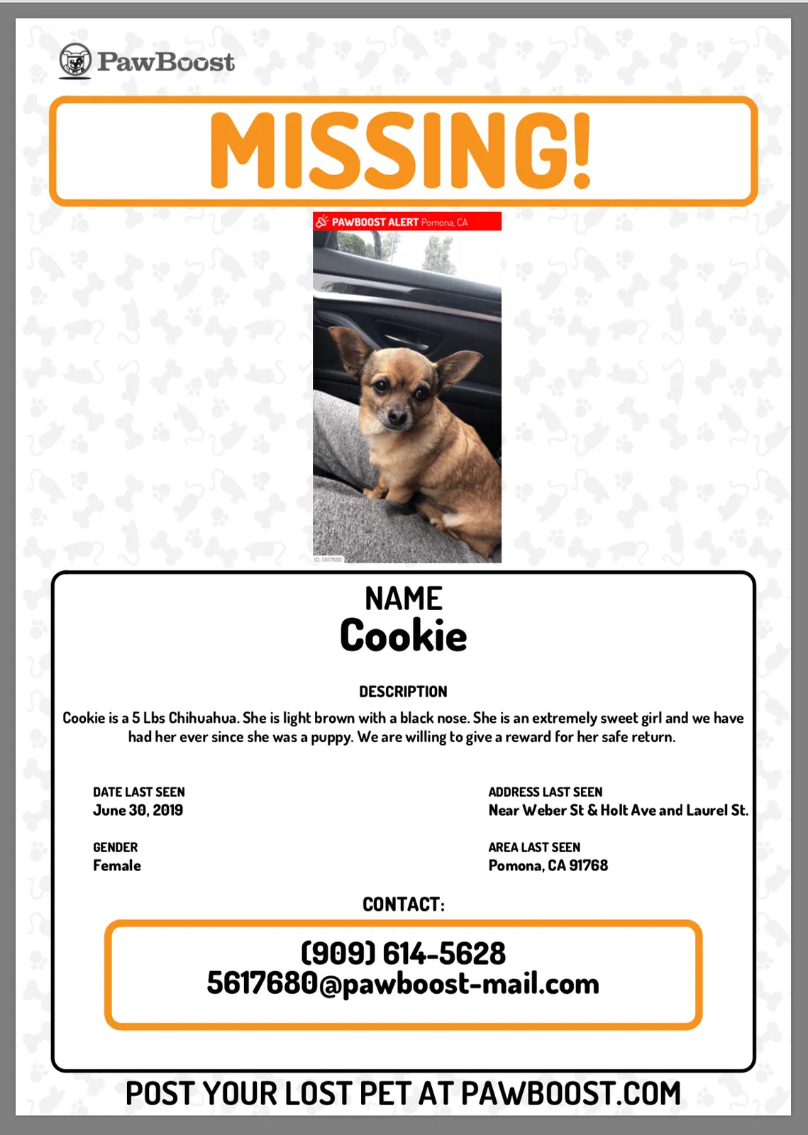 Lost dog in Pomona, CA, 91768