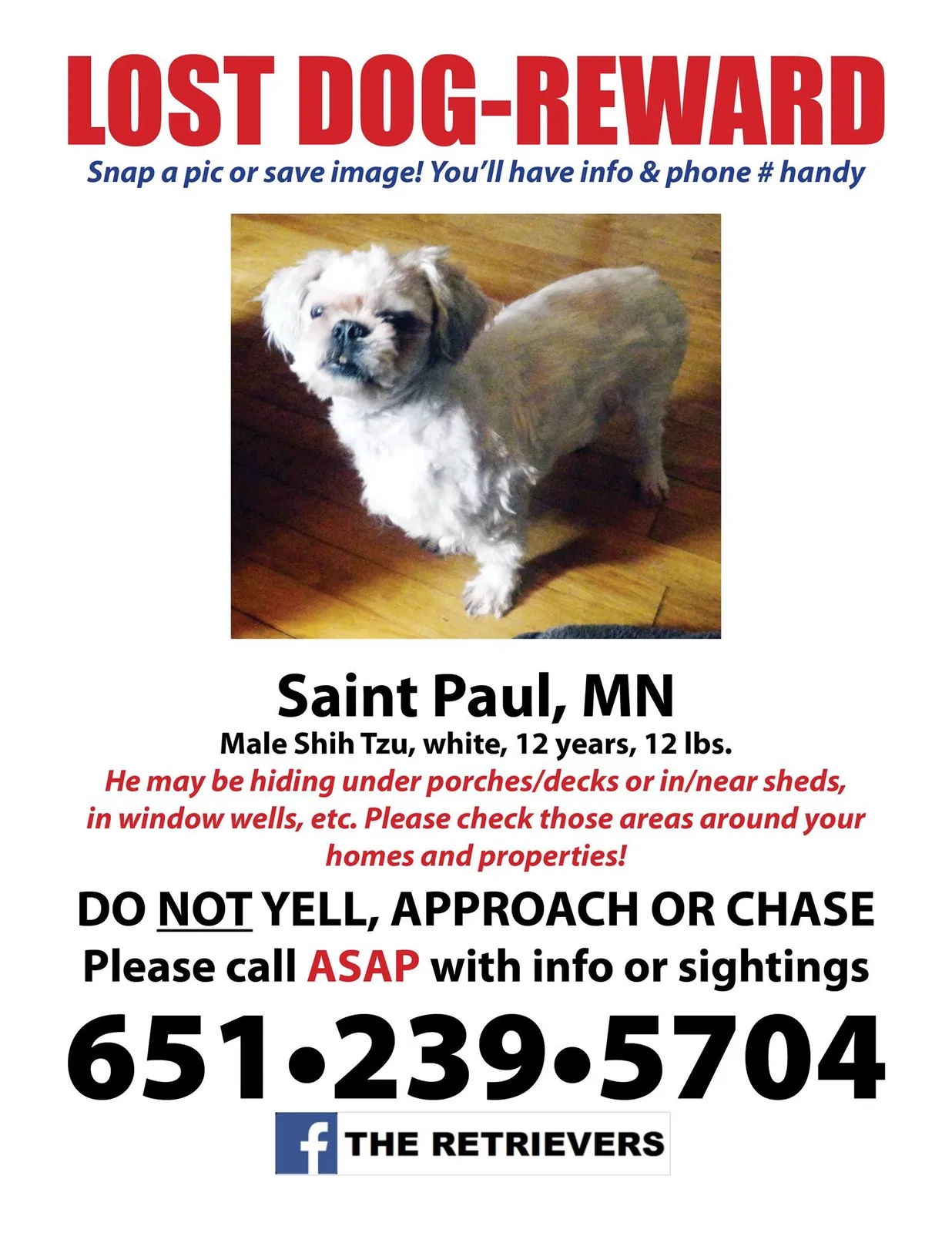 Lost dog in Saint Paul, MN, 55119