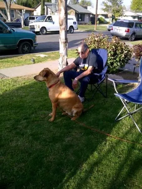 Lost dog in Fresno, CA, 93705