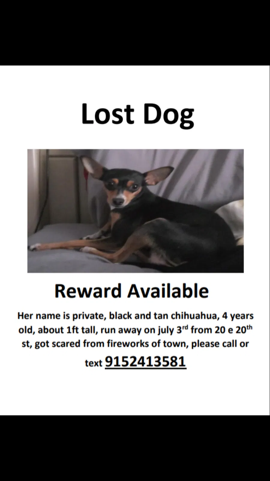 Lost dog in San Angelo, TX, 76903