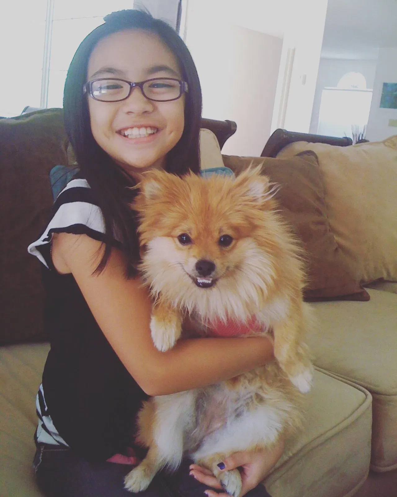 Lost dog in Santa Monica, CA, 90405
