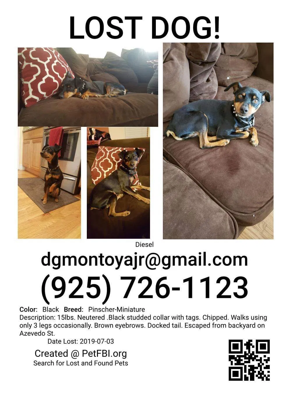 Lost dog in Antioch, CA, 94509