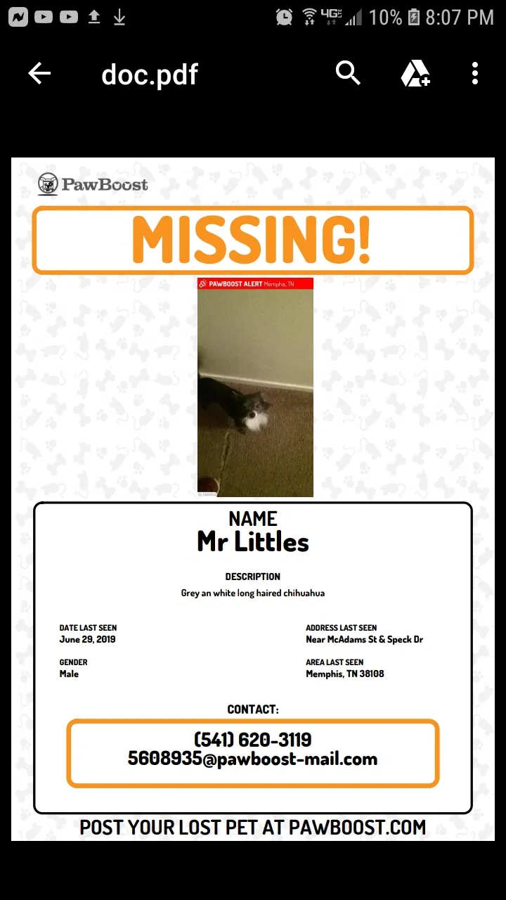 Lost dog in Memphis, TN, 38108