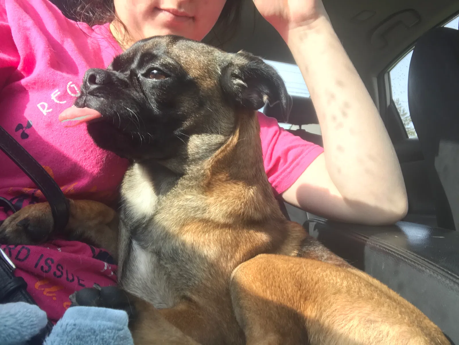 Lost dog in Cleveland, OH, 44129