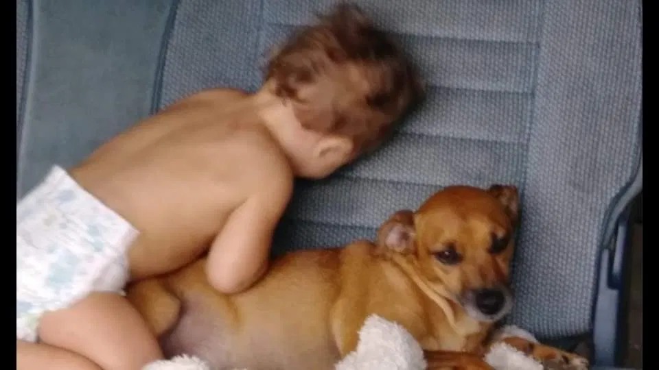 Lost dog in Middletown, OH, 45044