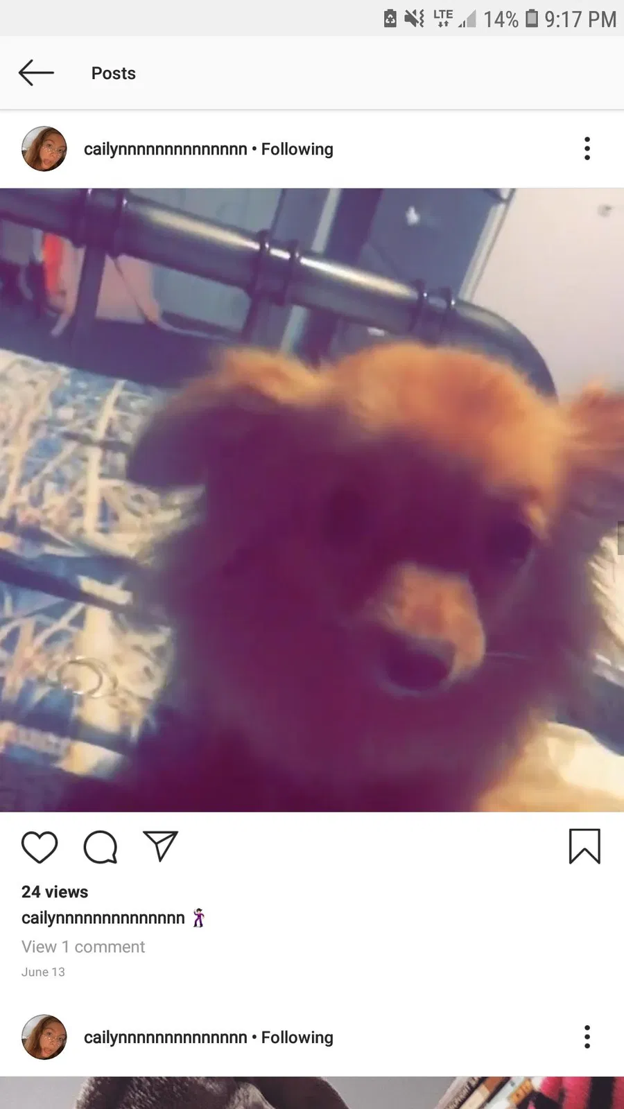 Lost dog in Newark, OH, 43055