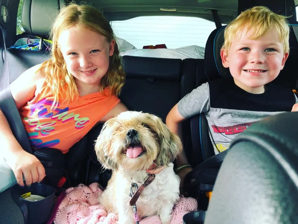 Lost dog in Madison Heights, VA, 24572