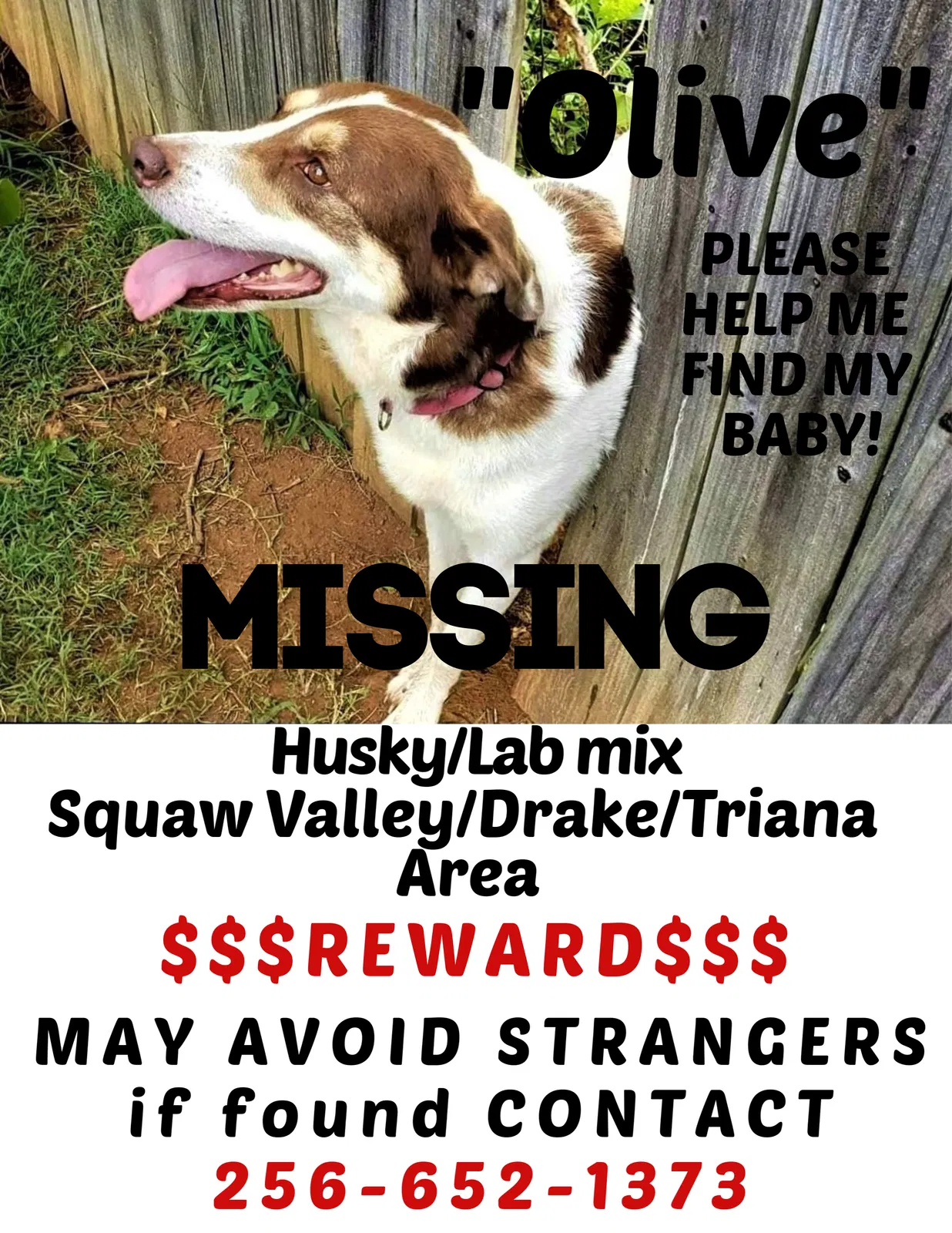 Lost dog in Huntsville, AL, 35805