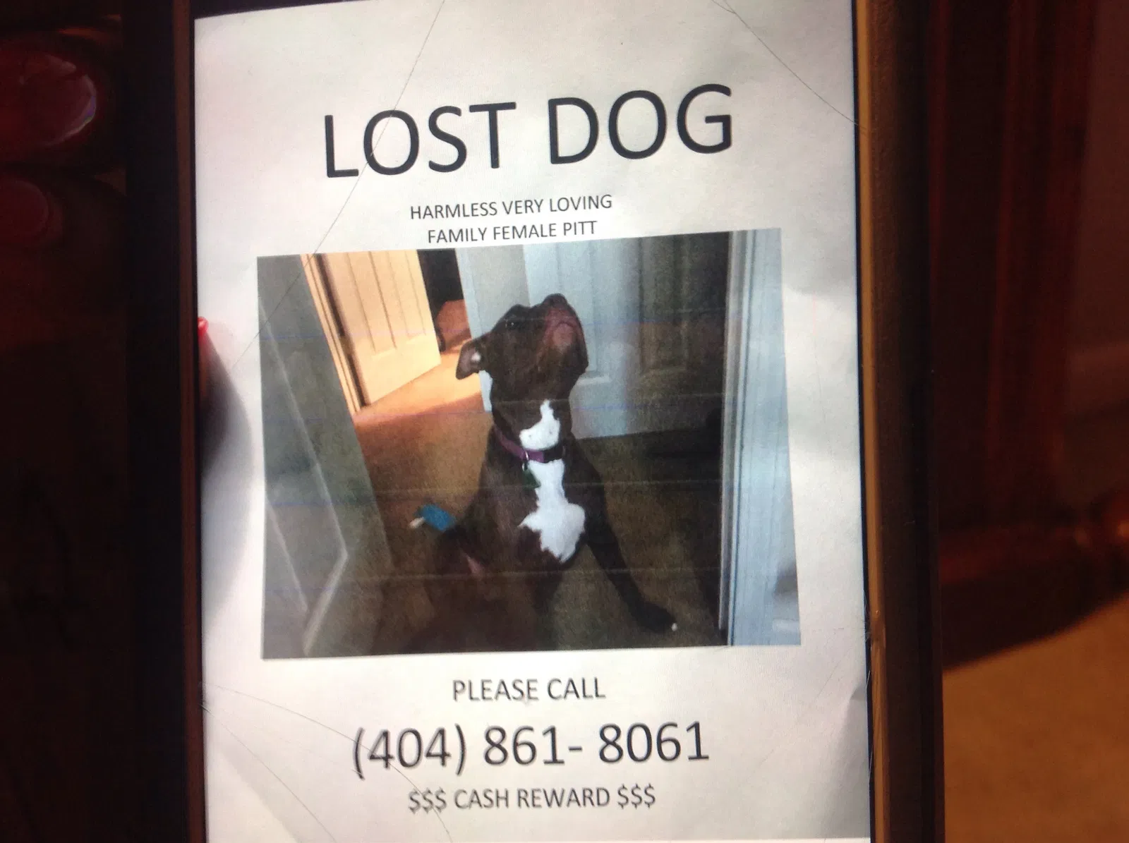 Lost dog in Lithonia, GA, 30058
