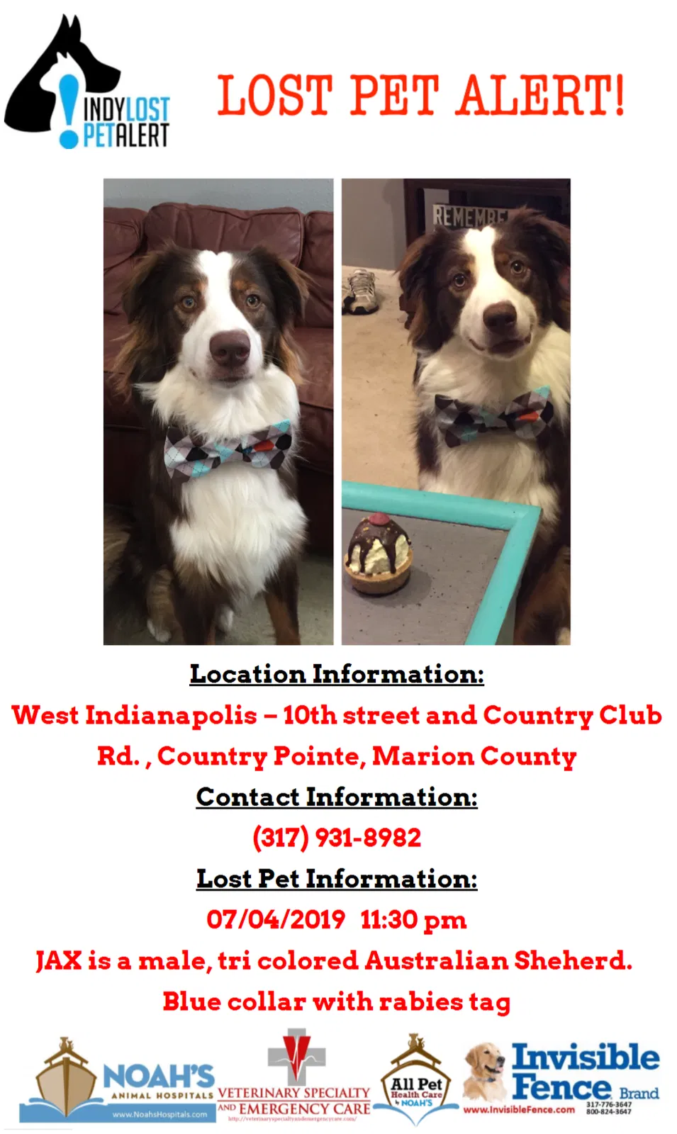 Lost dog in Indianapolis, IN, 46234
