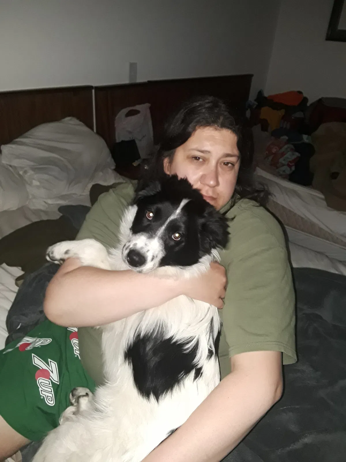 Lost dog in Harris, MN, 55032