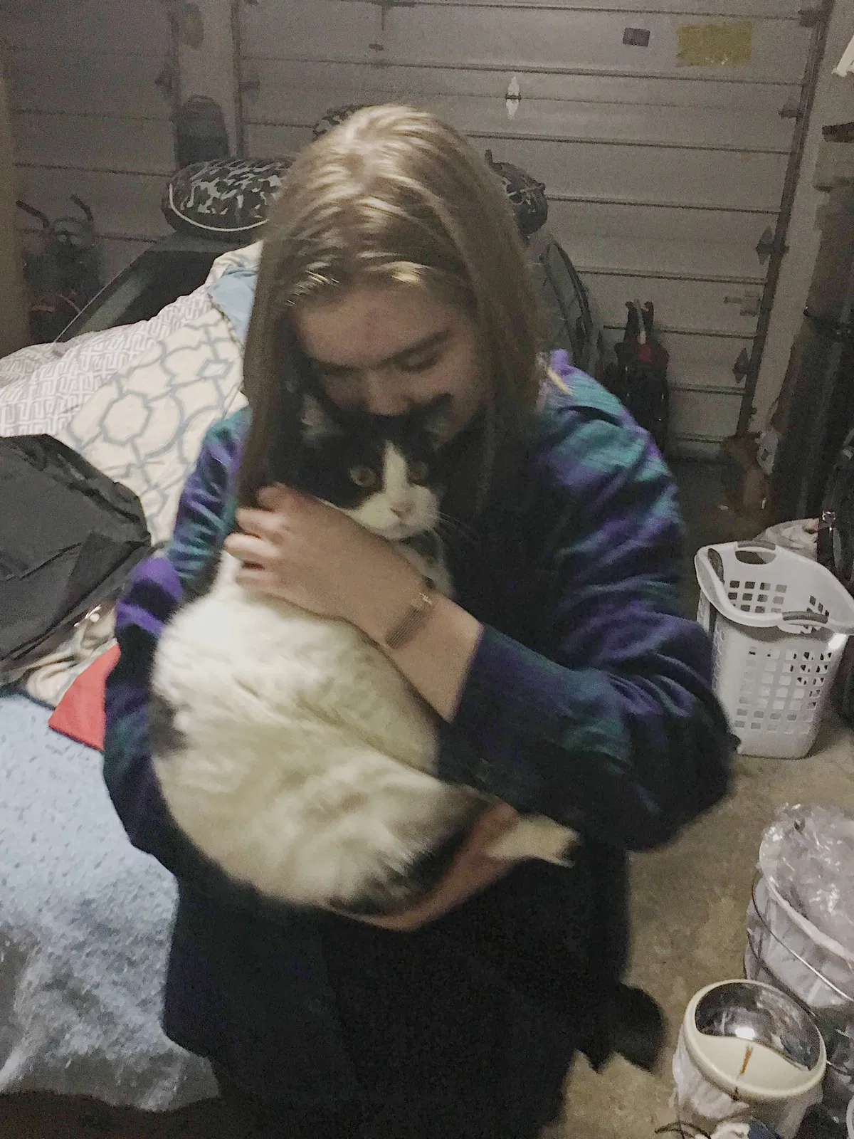 Lost cat in Portland, OR, 97230
