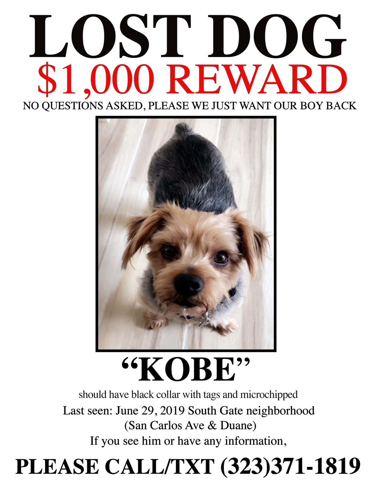 Lost dog in South Gate, CA, 90280