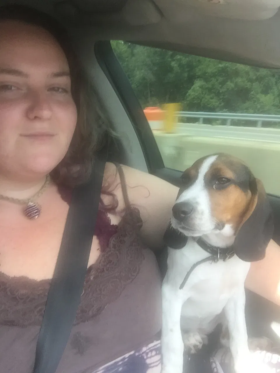 Lost dog in Evansville, IN, 47711