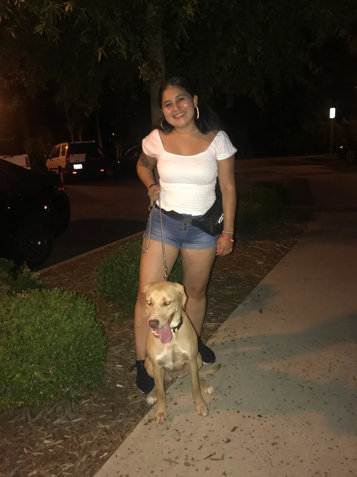 Lost dog in Greenville, SC, 29611