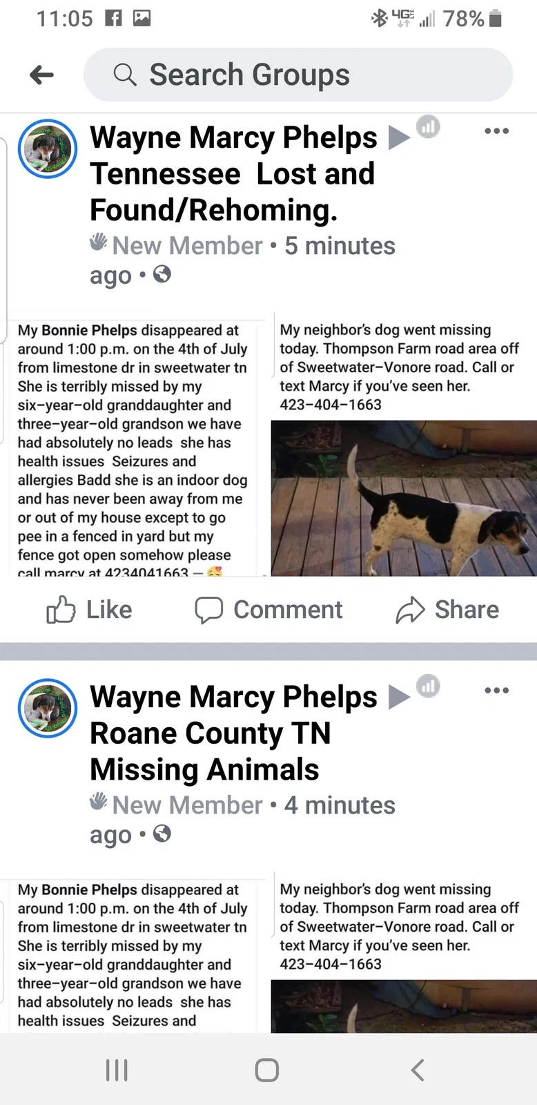 Lost dog in Sweetwater, TN, 37874