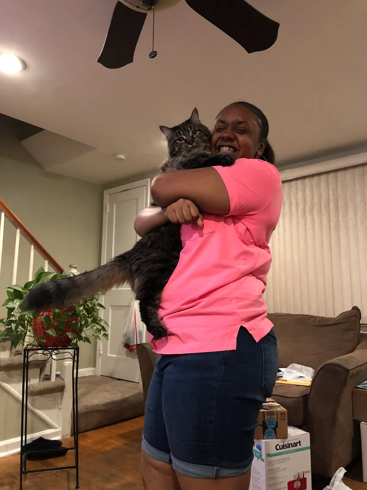Lost cat in Philadelphia, PA, 19131