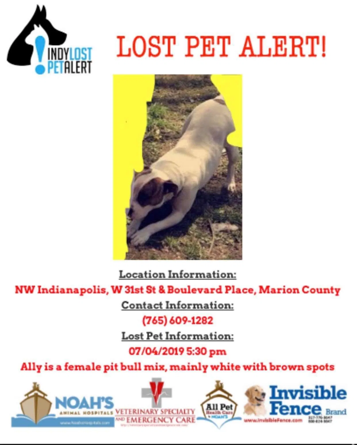 Lost dog in Indianapolis, IN, 46224