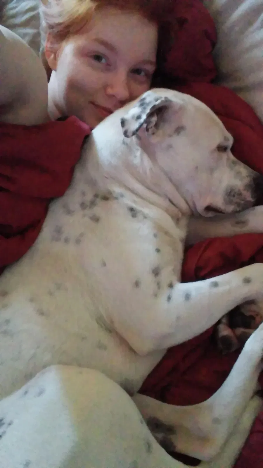 Lost dog in Fayetteville, NC, 28306
