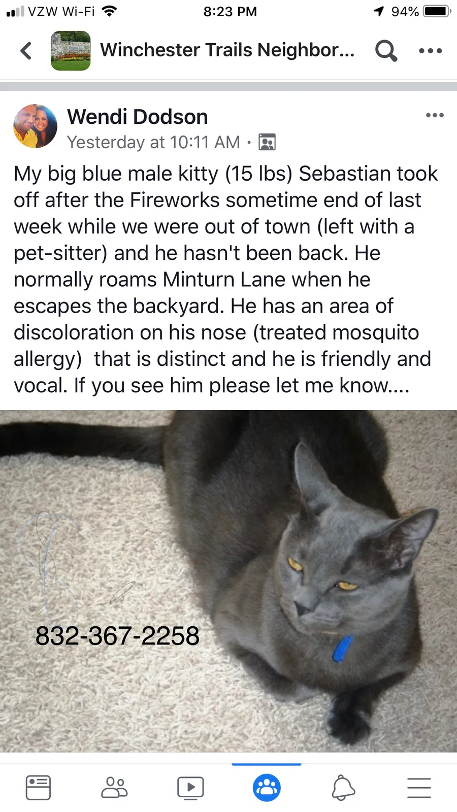 Lost cat in Houston, TX, 77064
