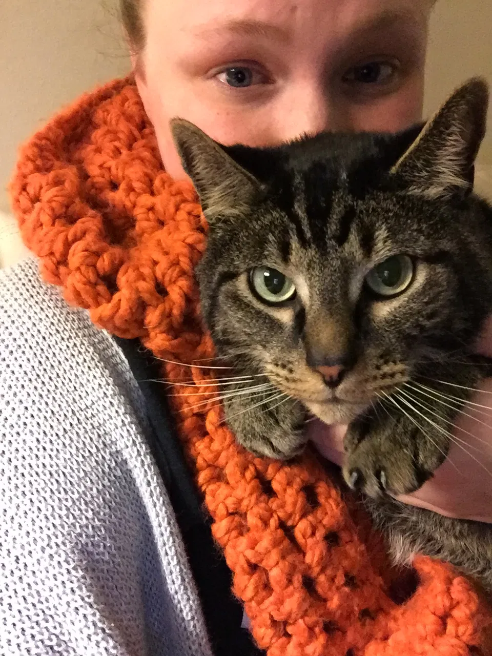 Lost cat in Tacoma, WA, 98406