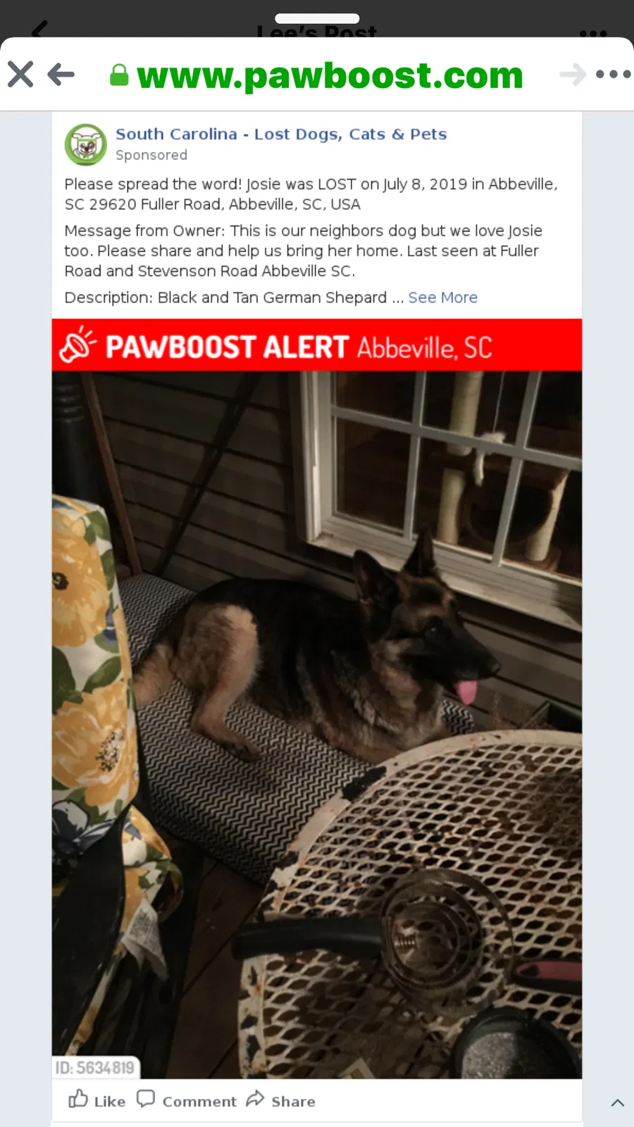 Lost dog in Abbeville, SC, 29620