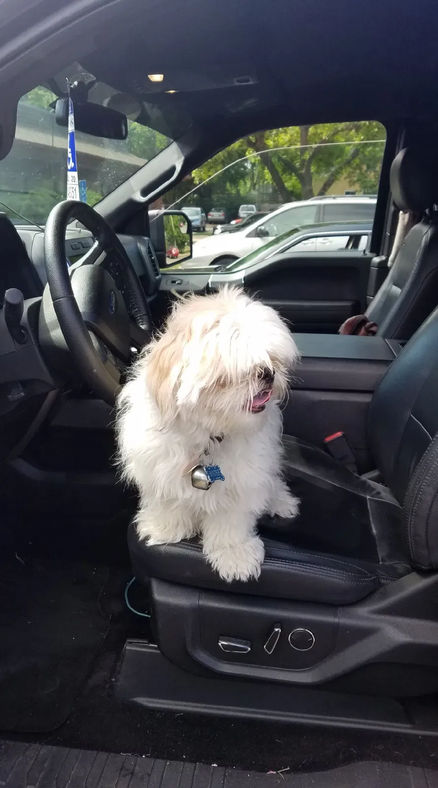 Lost dog in Mc Louth, KS, 66054