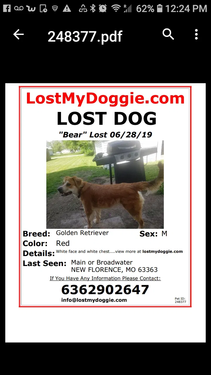 Lost dog in Montgomery City, MO, 63361