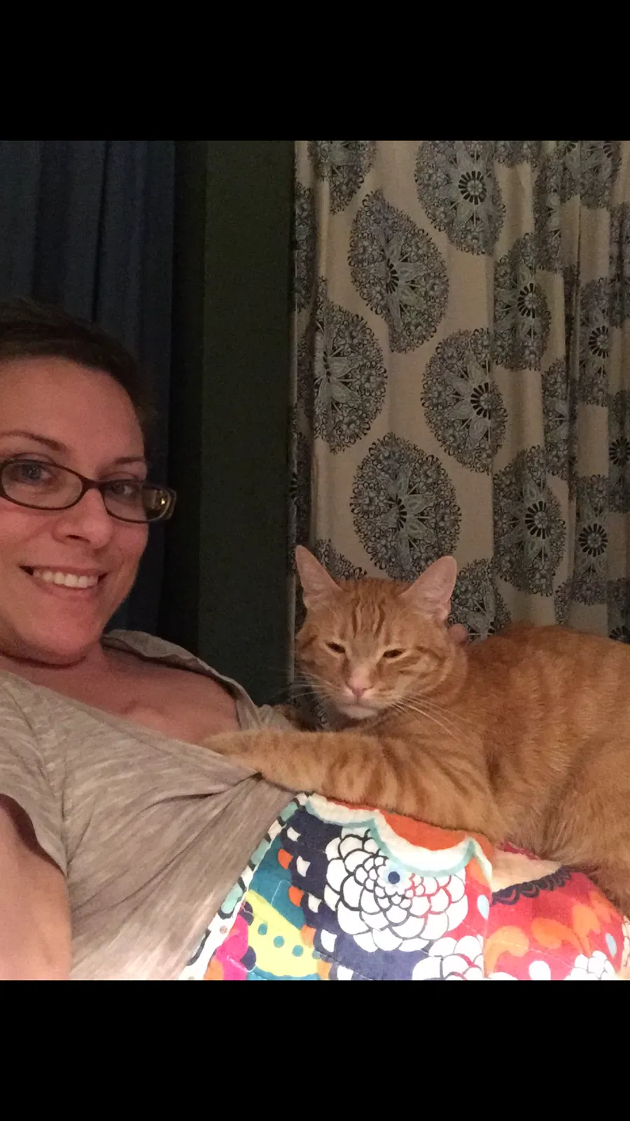 Lost cat in Dewey, AZ, 86327