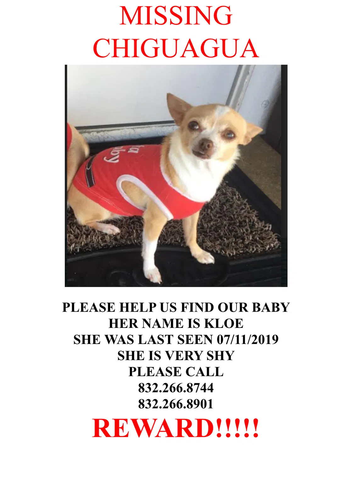 Lost dog in Cape Coral, FL, 33993