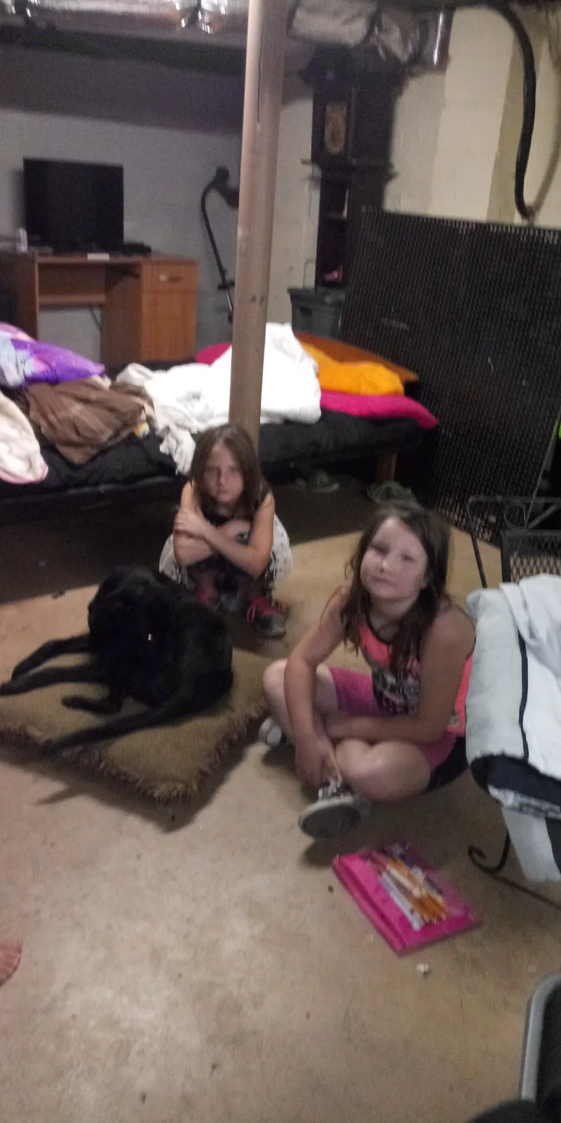 Lost dog in Rome, GA, 30161