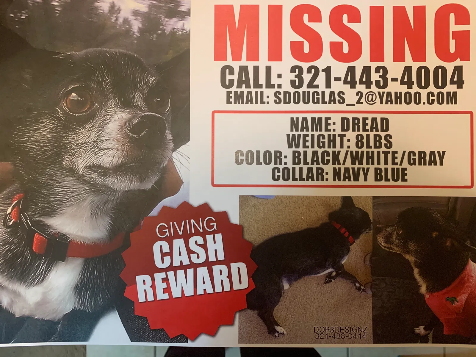 Lost dog in Orlando, FL, 32808