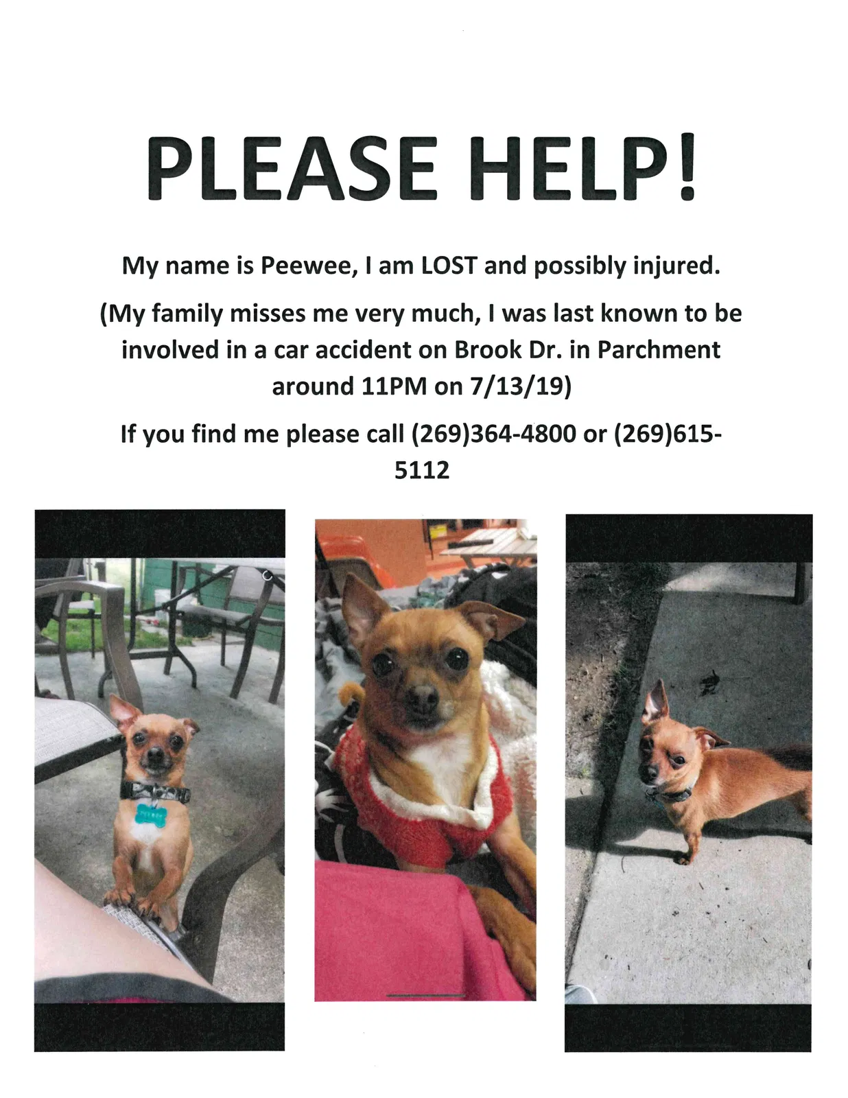 Lost dog in Kalamazoo, MI, 49004
