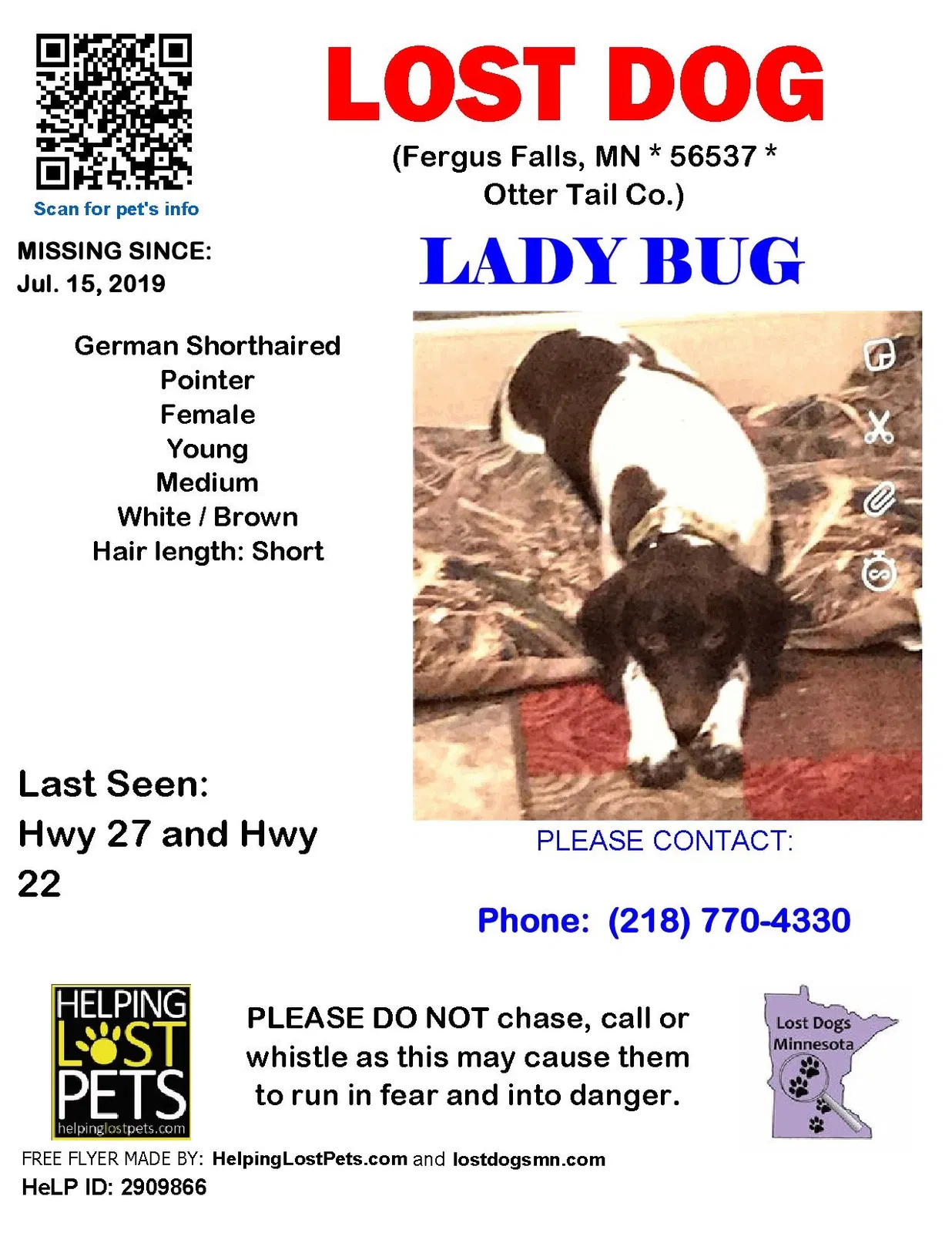 Lost dog in Fergus Falls, MN, 56537