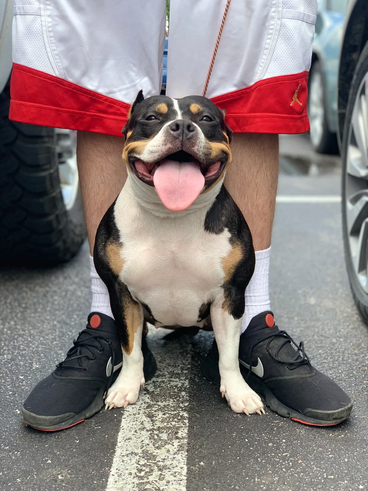 Lost dog in Caldwell, KS, 67022